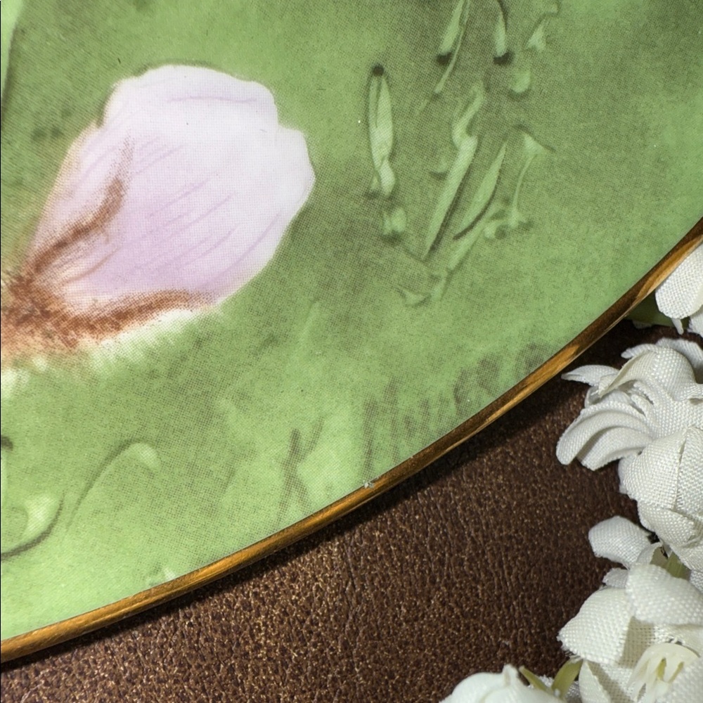 Floral Art Plate with White and Brown Design Collectable - Picture 2 of 4